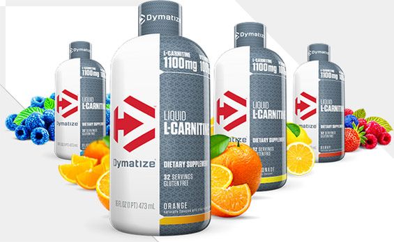 Carnitine sport