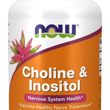 Choline and Inositol, 500mg - 100 caps
