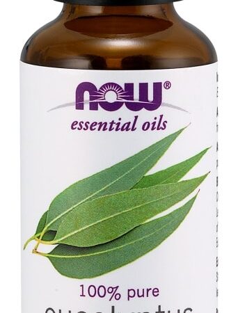 Huile essentielle d'eucalyptus radiata pure.