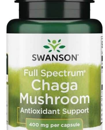 Complément alimentaire Swanson Chaga Mushroom, antioxydant.