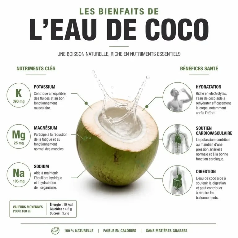 Infographie des bienfaits de l'eau de coco et de sa composition nutritionnelle pour la santé